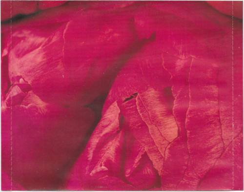 Celine Dion and Anne Geddes Miracle : Back